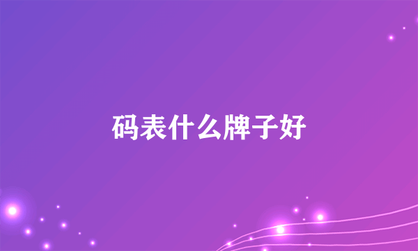 码表什么牌子好