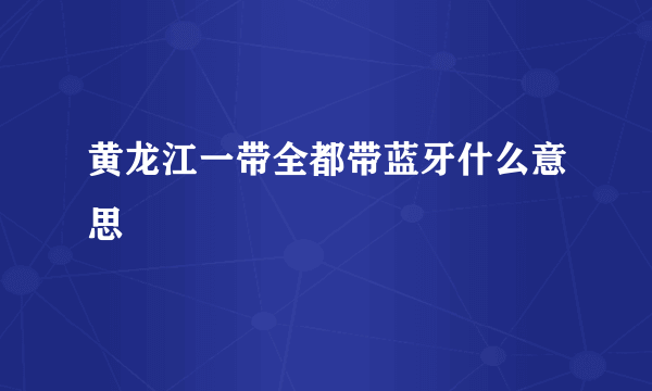 黄龙江一带全都带蓝牙什么意思