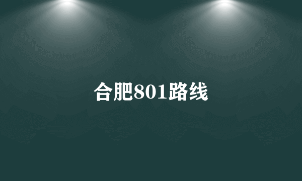 合肥801路线