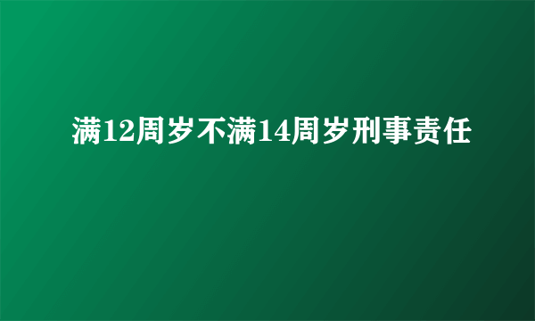 满12周岁不满14周岁刑事责任