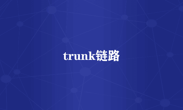 trunk链路