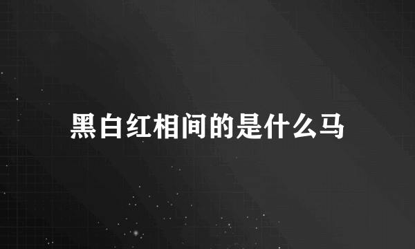 黑白红相间的是什么马