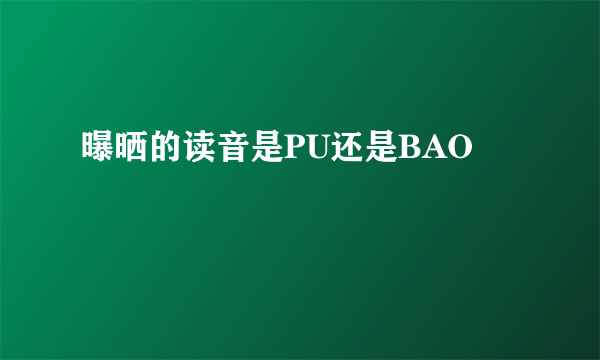 曝晒的读音是PU还是BAO