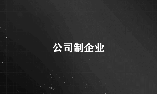 公司制企业