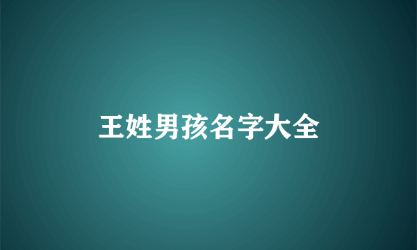 王姓男孩名字大全