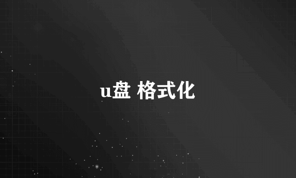 u盘 格式化