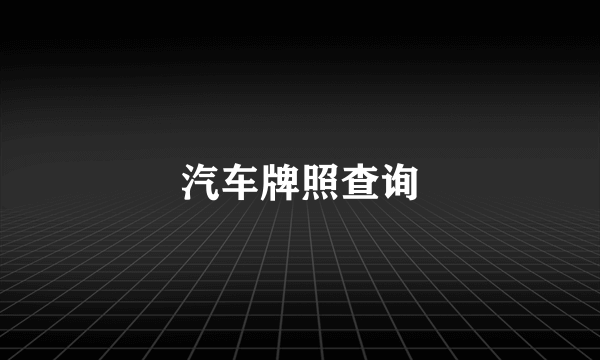 汽车牌照查询