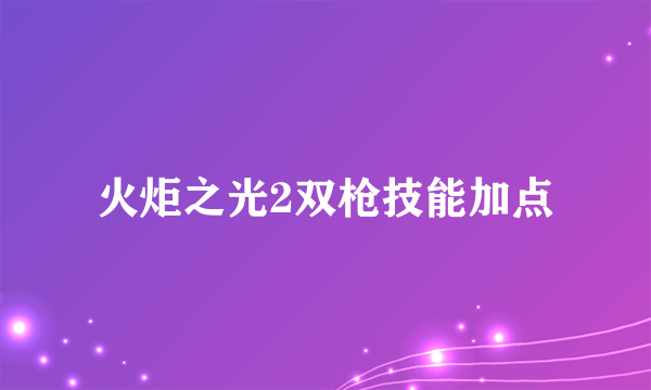 火炬之光2双枪技能加点