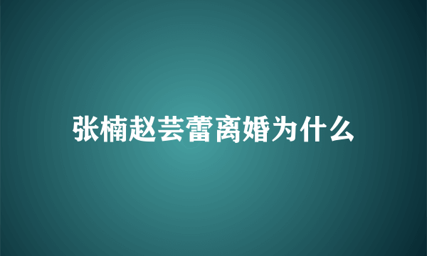 张楠赵芸蕾离婚为什么