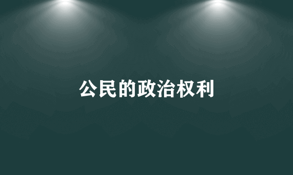 公民的政治权利