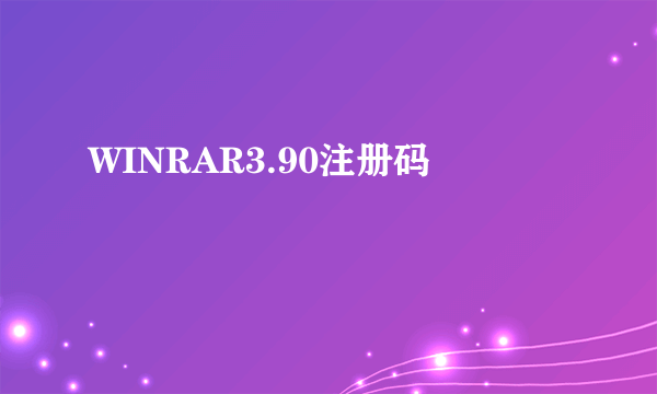 WINRAR3.90注册码