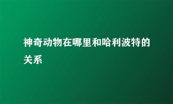 神奇动物在哪里和哈利波特的关系