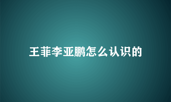 王菲李亚鹏怎么认识的