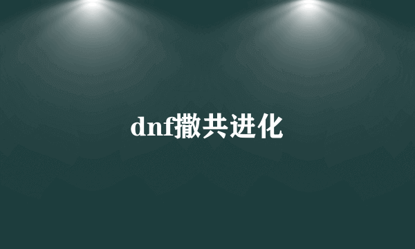 dnf撒共进化