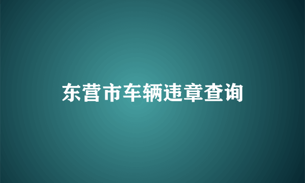 东营市车辆违章查询