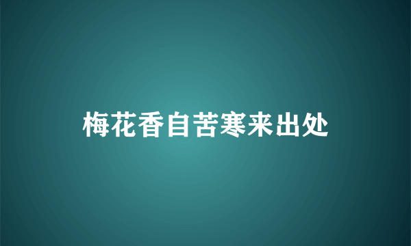 梅花香自苦寒来出处