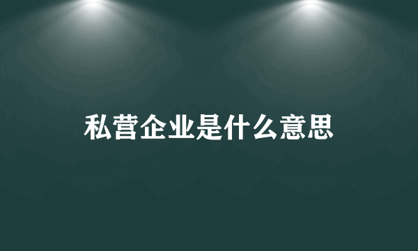 私营企业是什么意思