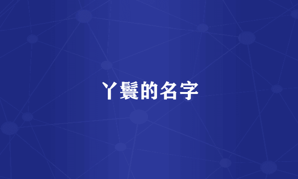 丫鬟的名字