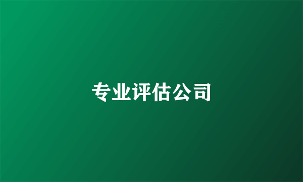 专业评估公司