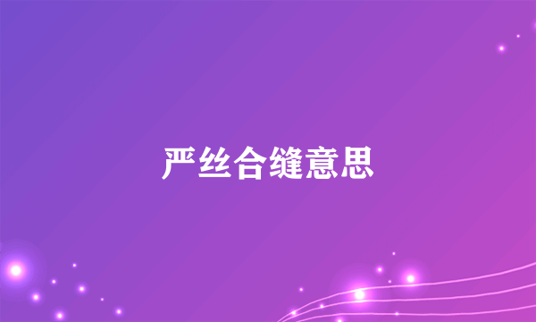 严丝合缝意思