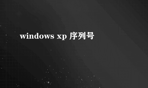 windows xp 序列号