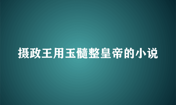 摄政王用玉髓整皇帝的小说