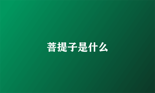 菩提子是什么