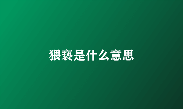 猥亵是什么意思