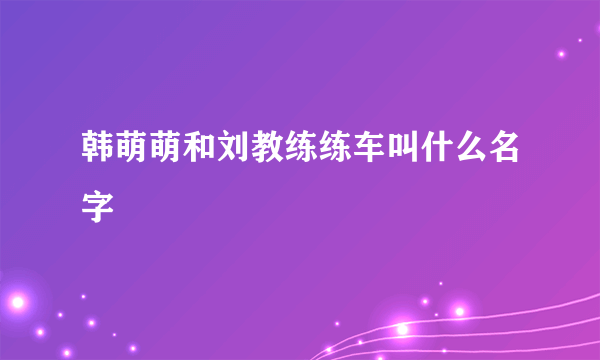 韩萌萌和刘教练练车叫什么名字