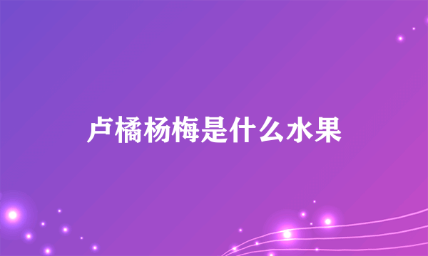 卢橘杨梅是什么水果