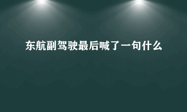 东航副驾驶最后喊了一句什么