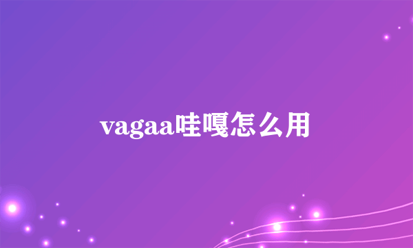 vagaa哇嘎怎么用