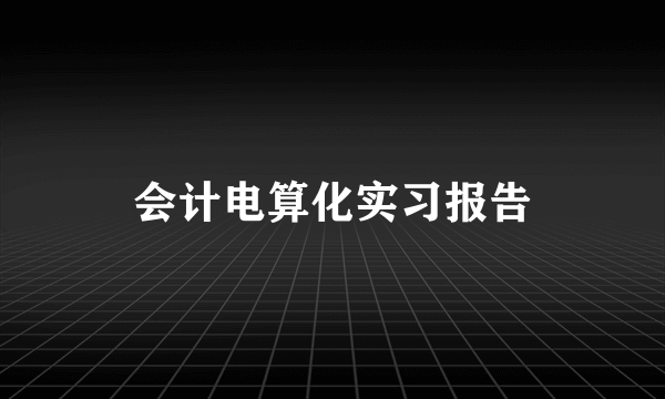 会计电算化实习报告