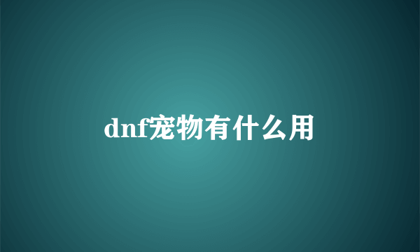 dnf宠物有什么用