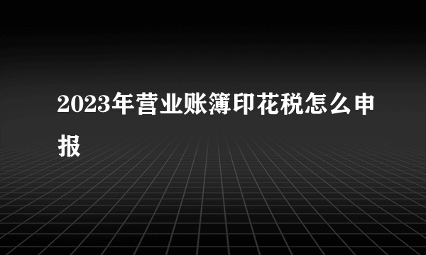 2023年营业账簿印花税怎么申报