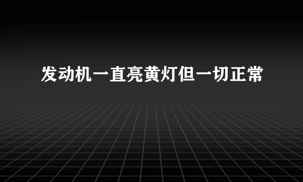 发动机一直亮黄灯但一切正常