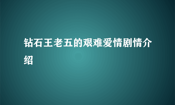 钻石王老五的艰难爱情剧情介绍