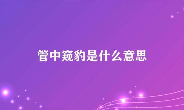 管中窥豹是什么意思