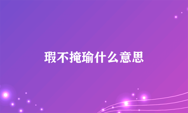 瑕不掩瑜什么意思