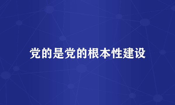 党的是党的根本性建设