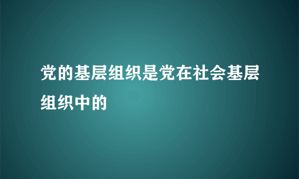 党的基层组织是党在社会基层组织中的