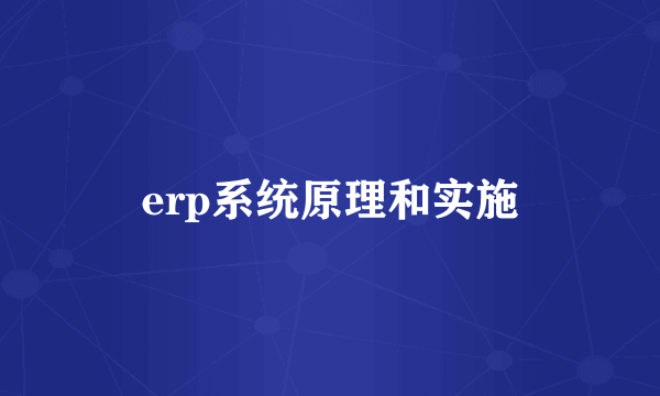 erp系统原理和实施