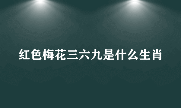 红色梅花三六九是什么生肖