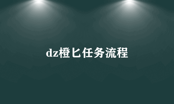 dz橙匕任务流程