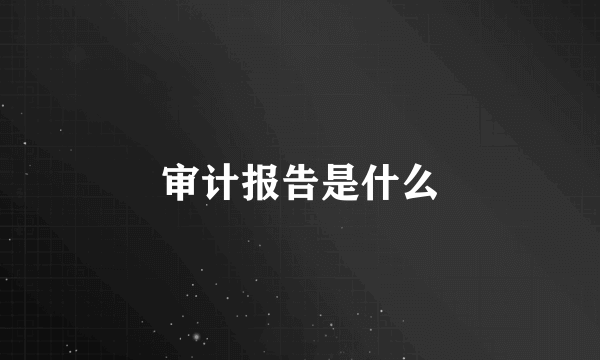 审计报告是什么