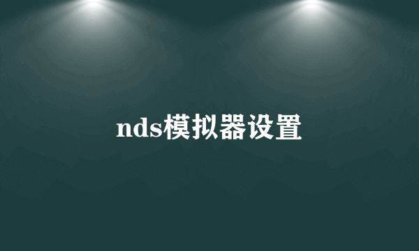 nds模拟器设置