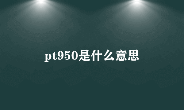 pt950是什么意思