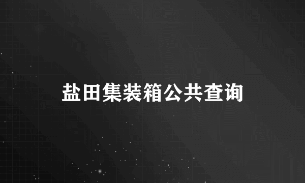 盐田集装箱公共查询