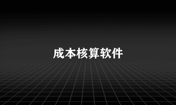 成本核算软件