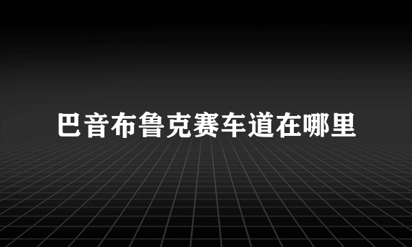 巴音布鲁克赛车道在哪里